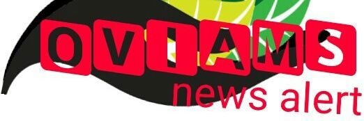 oviams's profile banner image