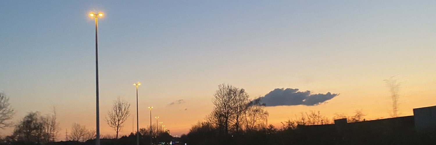 lenadreesen_'s profile banner image