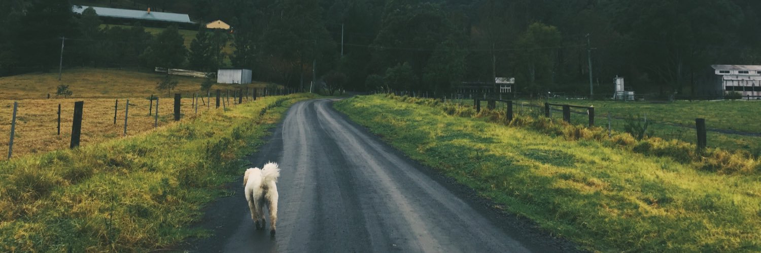 Kassandra Clementi banner