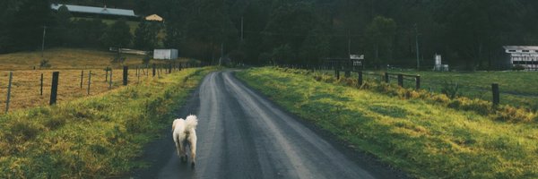 kassclementi Profile Banner