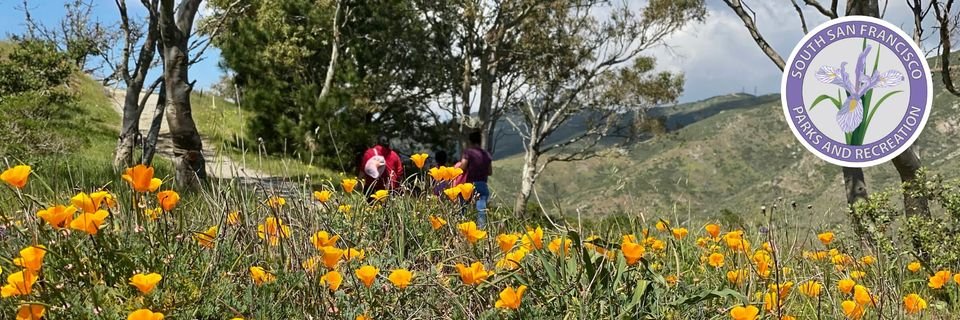 SSF Parks & Recreation banner