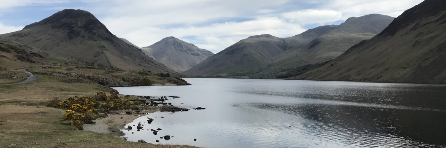 Andrew Johnson banner