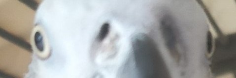 boysm banner