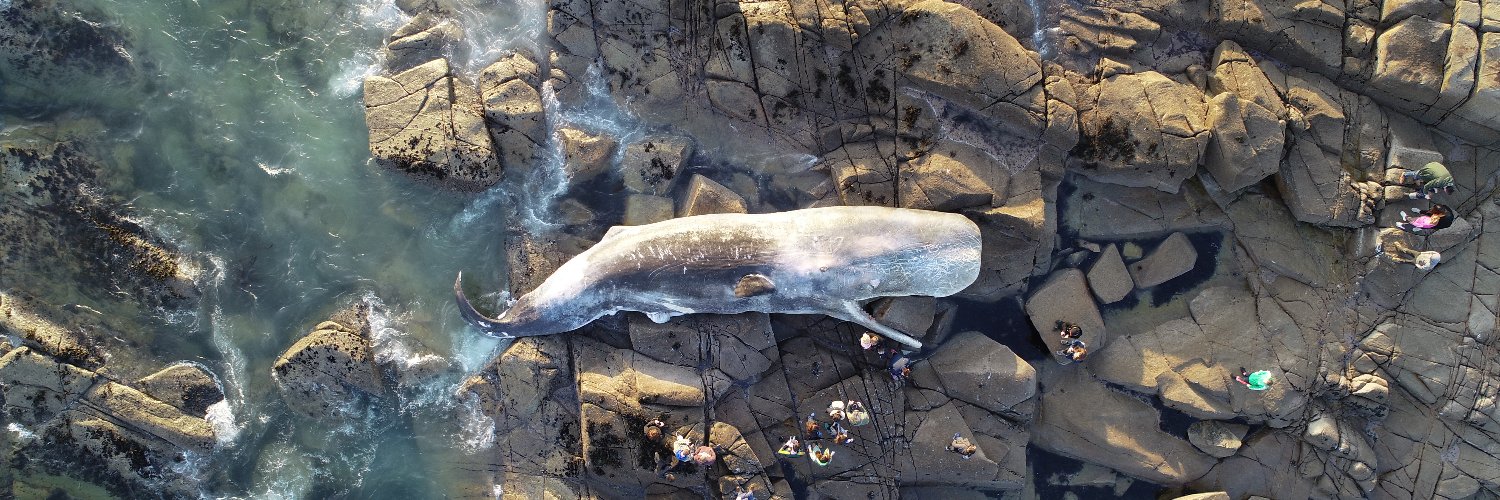 Seán O'Callaghan banner