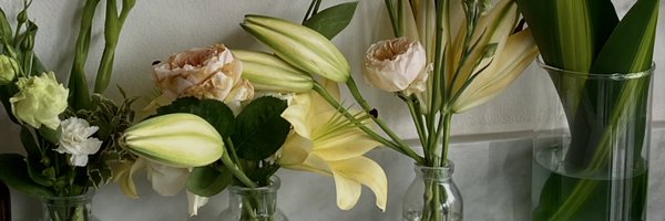 lilyvanilee Profile Banner