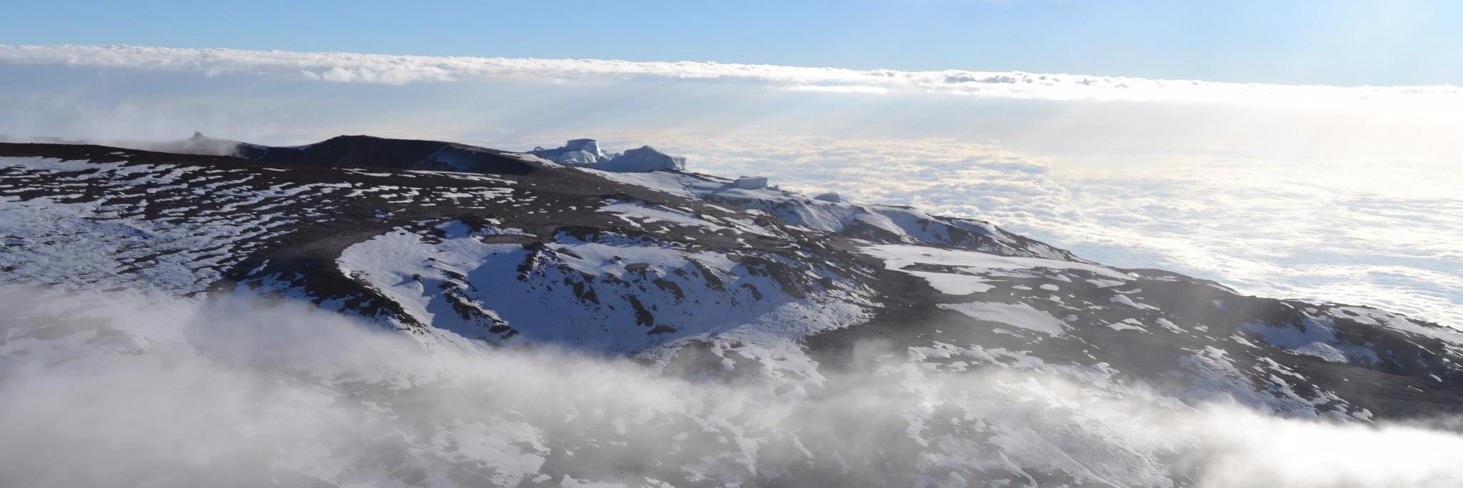 Dr. Alina Blazer banner