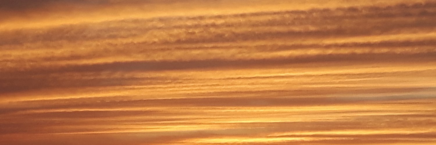 NiagaraBuddha's profile banner image