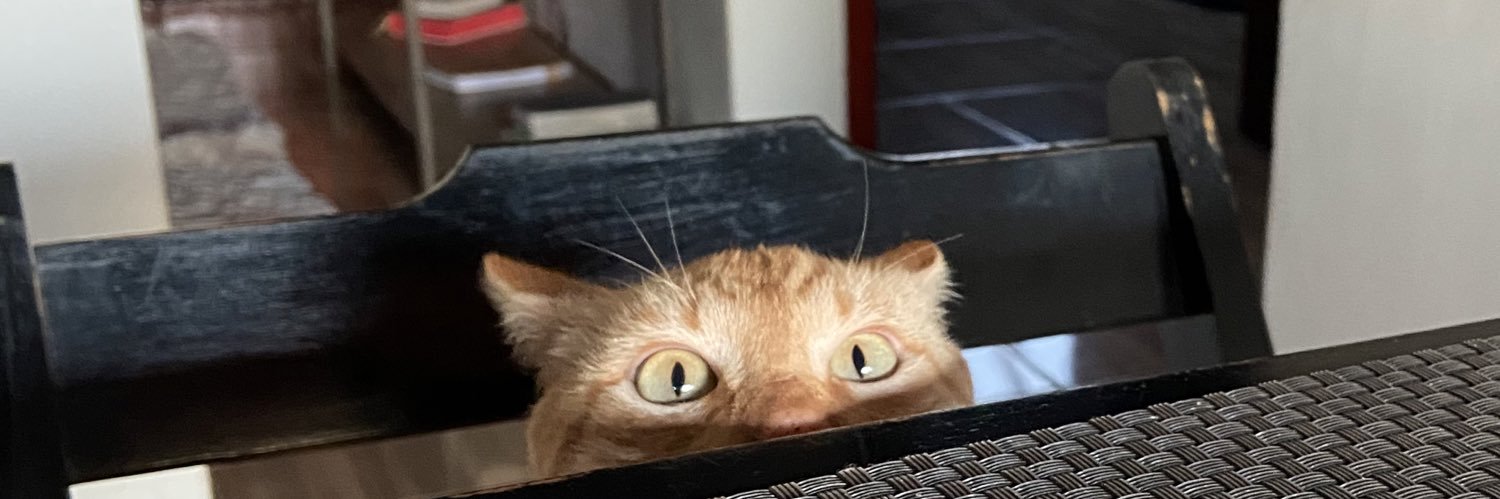 amandaalvx's profile banner image