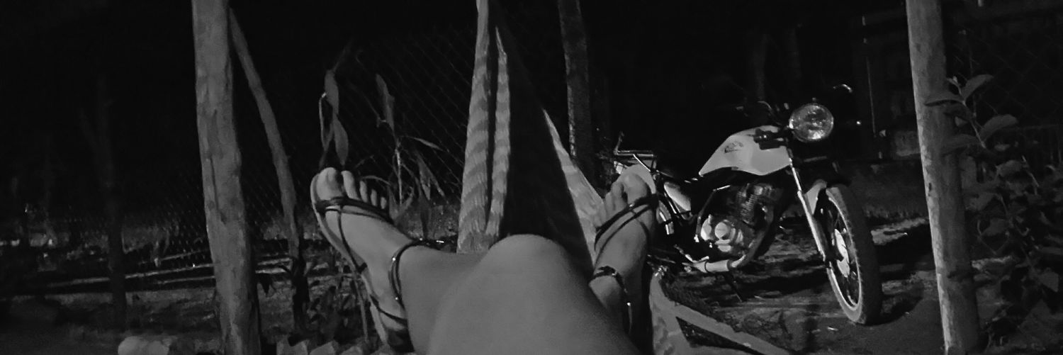 alegislape's profile banner image