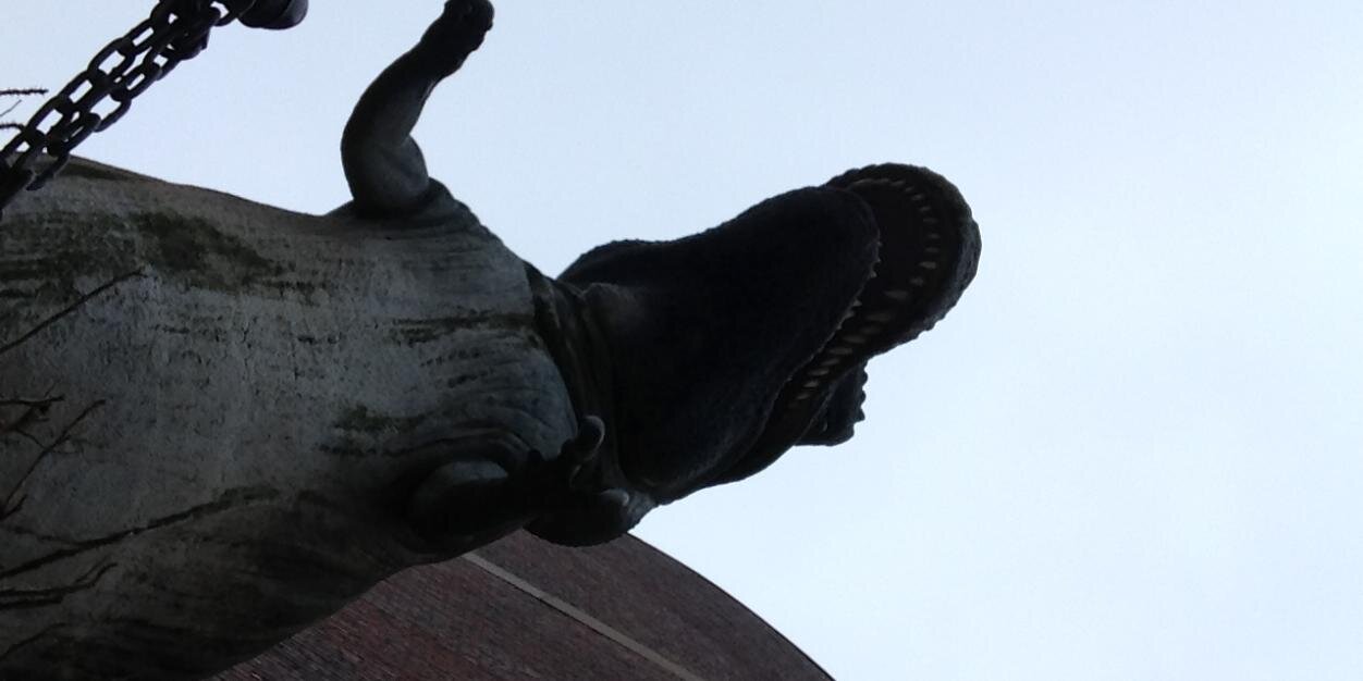 SDouglasAdams's profile banner image