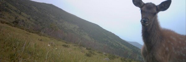 JessJessFisher Profile Banner