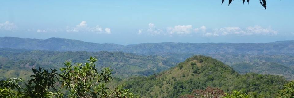 ClaytonPanama's profile banner image