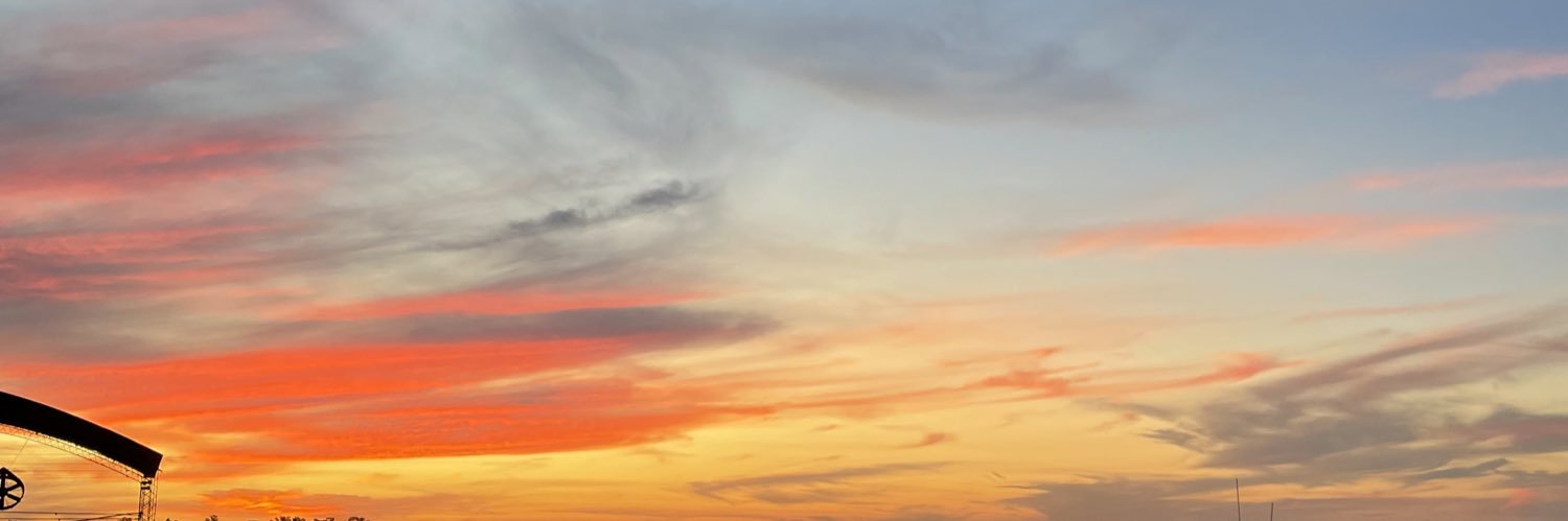 MiliLaggiard's profile banner image