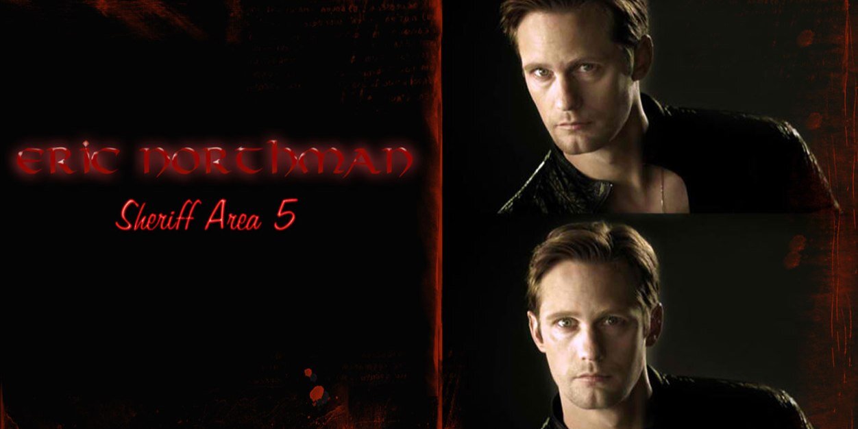 Northman_viking's profile banner image