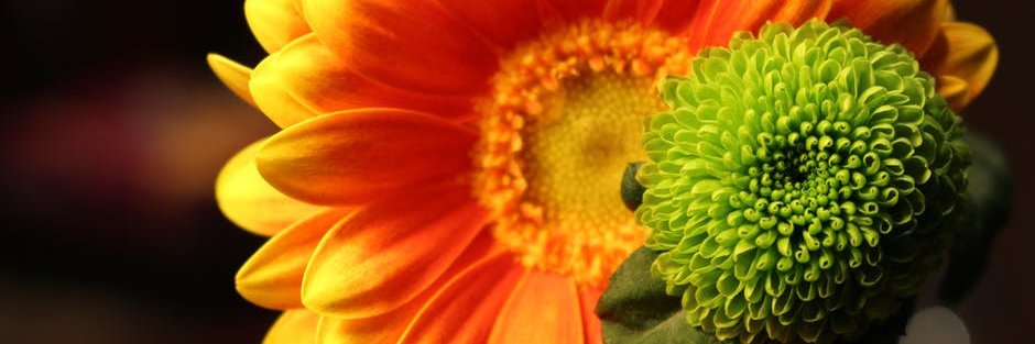 maegoodwin's profile banner image
