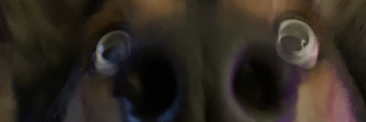 Pokeseanmaster's profile banner image