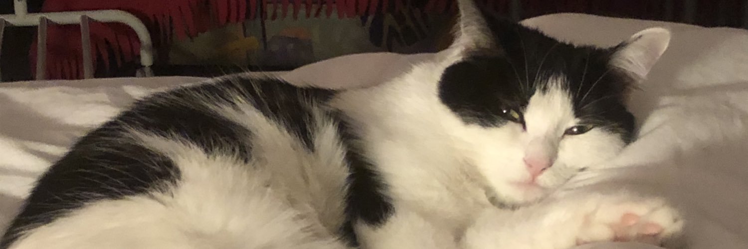 MarySzk's profile banner image