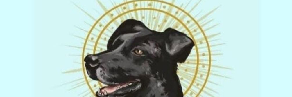elmonito1963's profile banner image