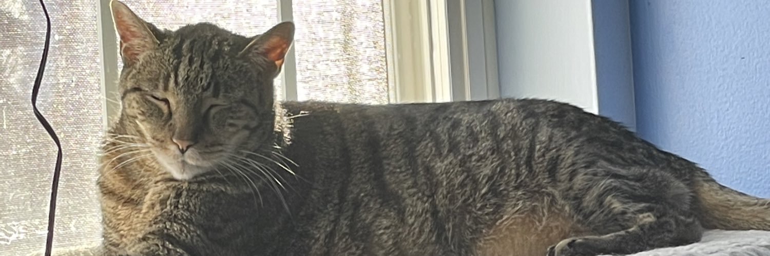 eshulze's profile banner image