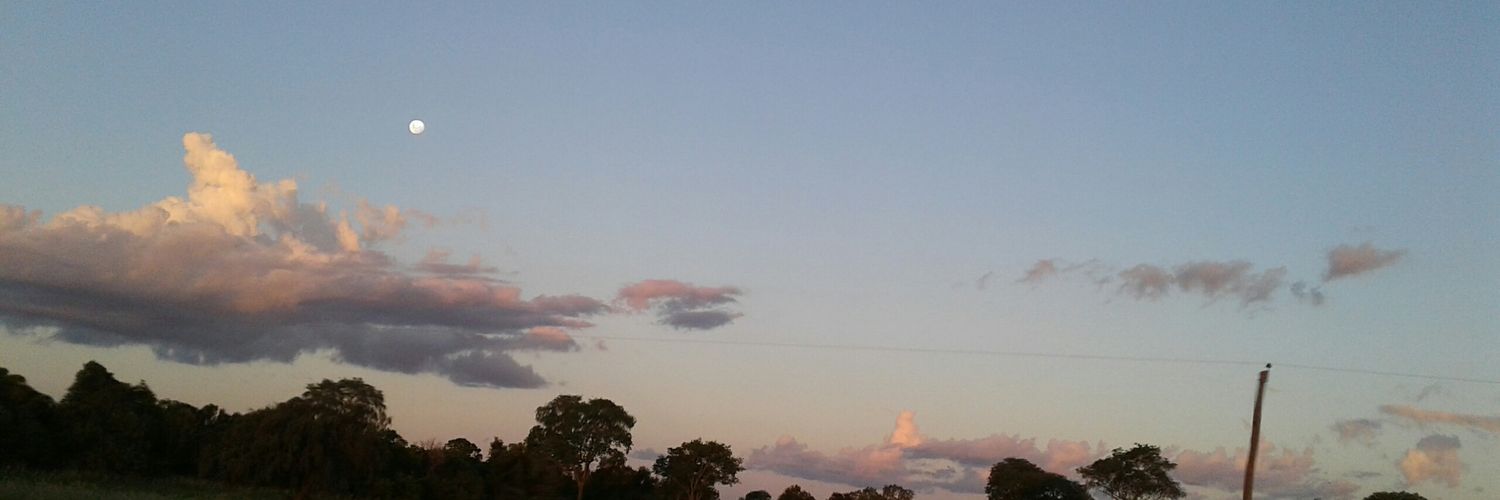 Auriartea's profile banner image