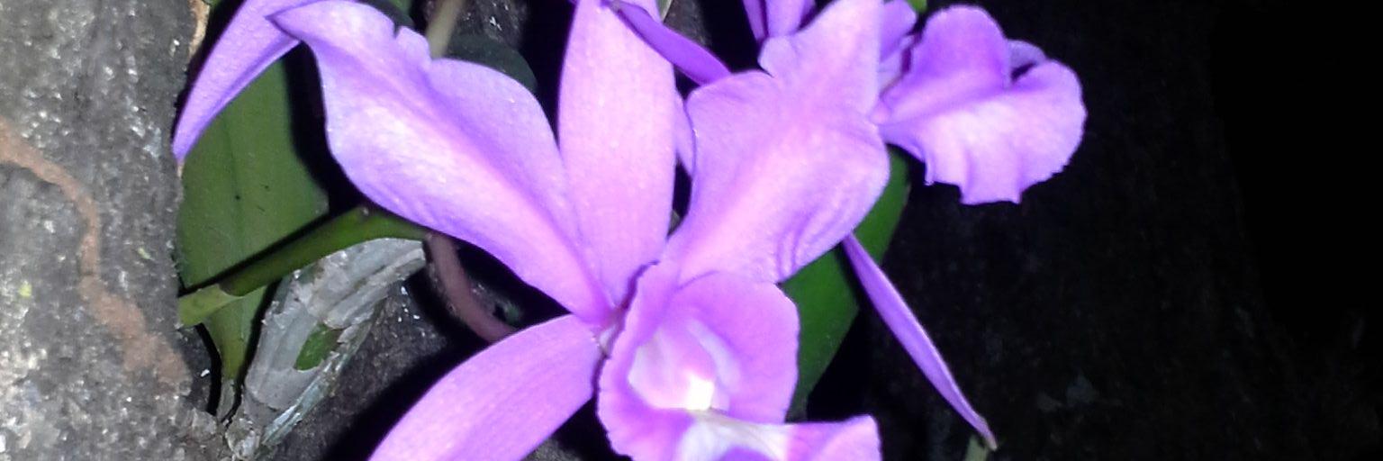 cheli56_rg's profile banner image