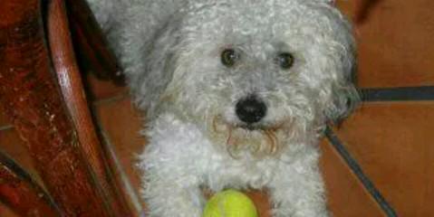 melacastillo_28's profile banner image