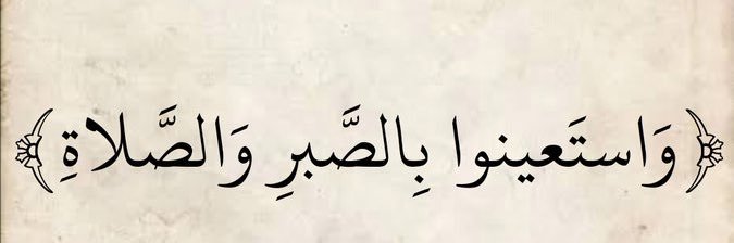 محمد الملعبي banner