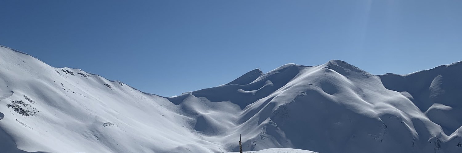 pedroalte11's profile banner image
