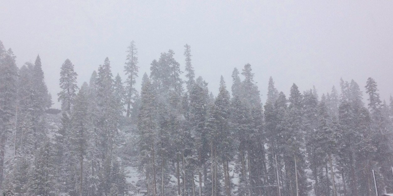 cvsnowman's profile banner image