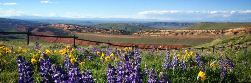 wyomingparent's profile banner image