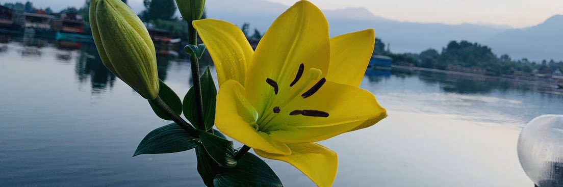 xtpankaj's profile banner image