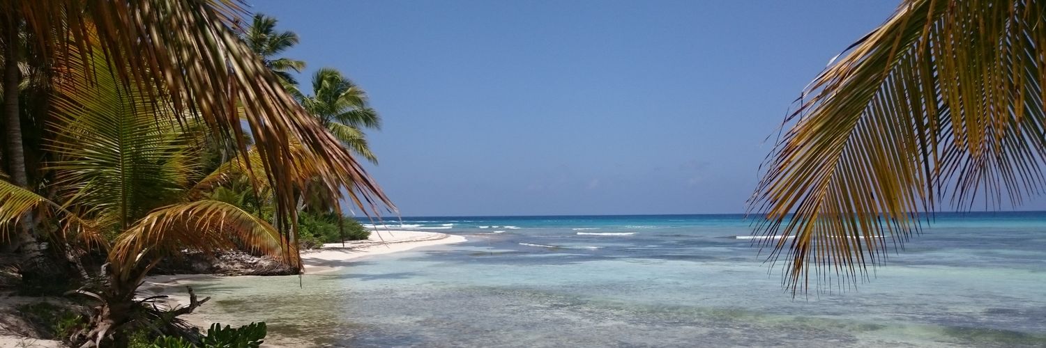 HanTay1's profile banner image