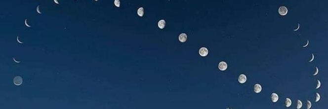 Alejandra Garzón banner