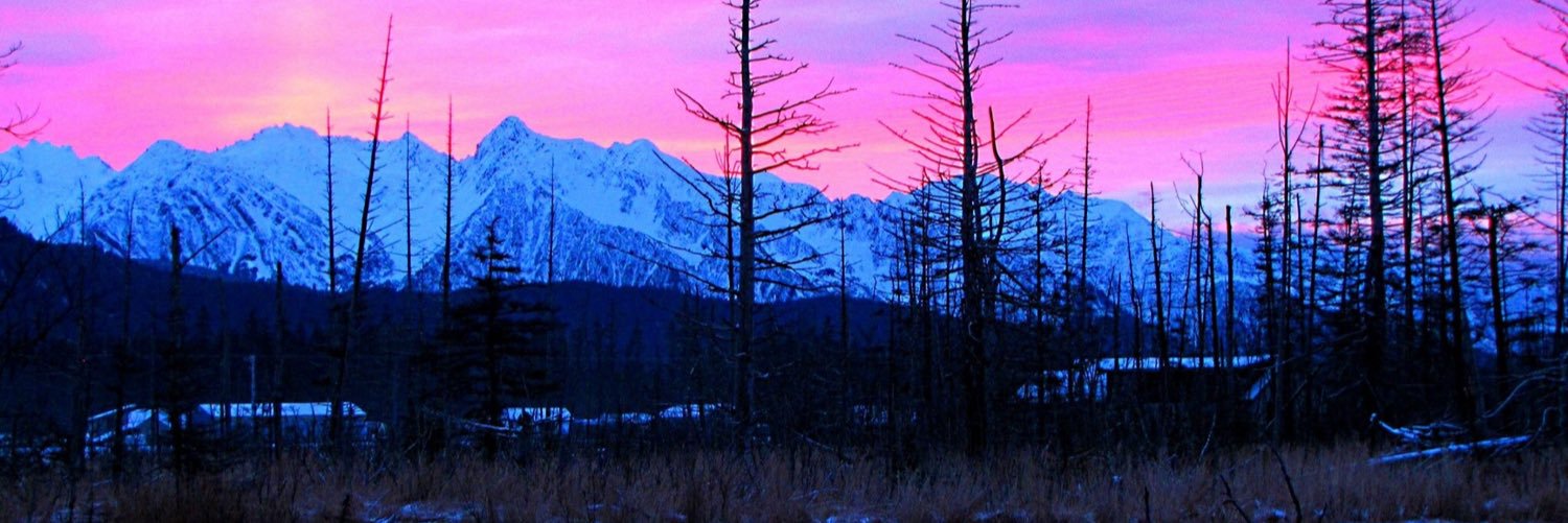 KatieCroucher's profile banner image