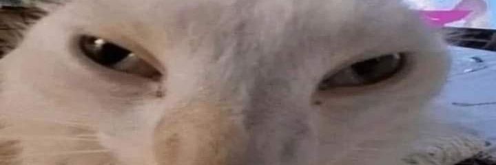 matheusmfac's profile banner image