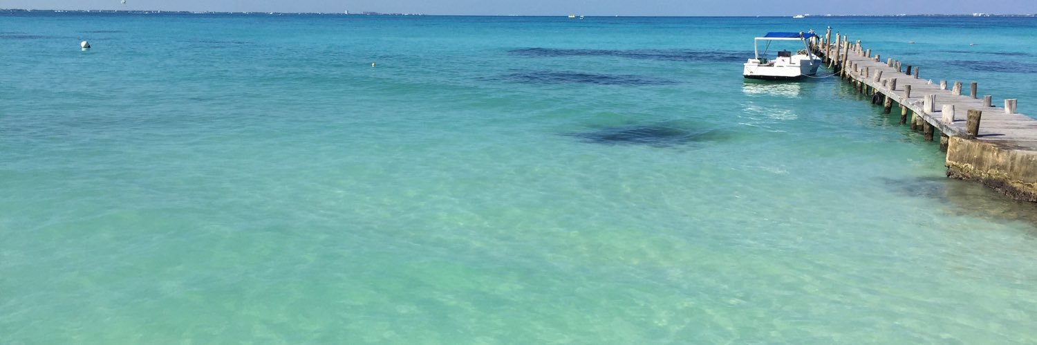 Valeria Franca Paoletti banner