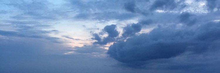 rainex_'s profile banner image