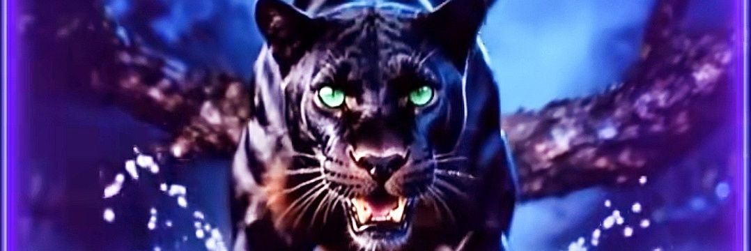 Wizzard Sir Stan banner