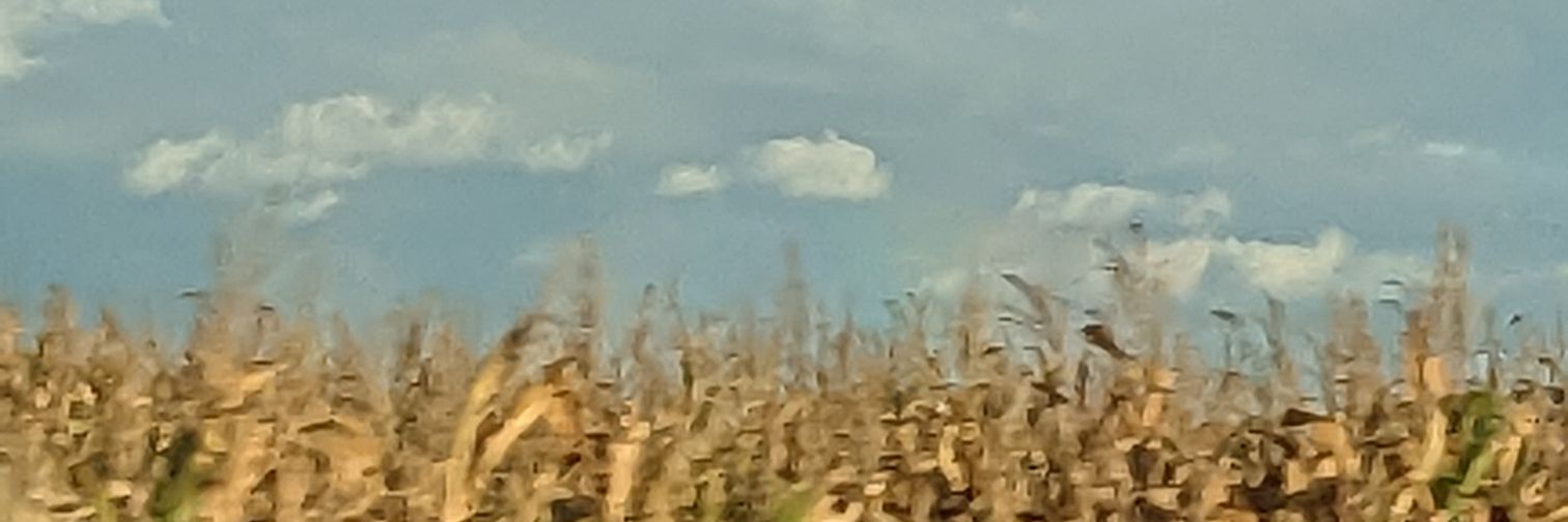 Kevin J Gabriel, Met banner