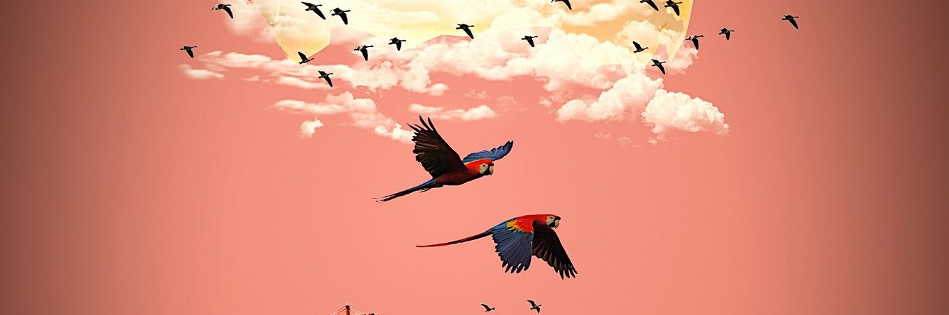 ifecttive's profile banner image