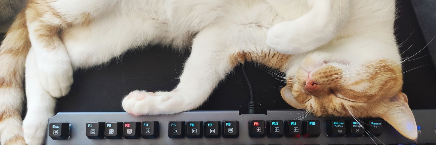 Evngs's profile banner image