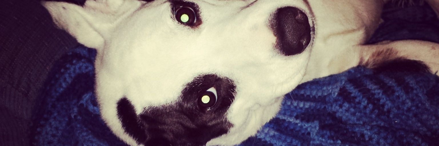 adolt6's profile banner image
