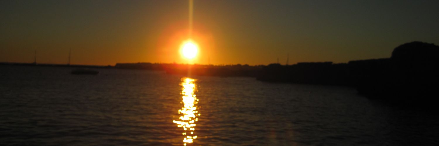 Alfredodezamora's profile banner image