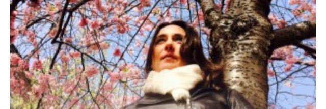 lucindabowden's profile banner image