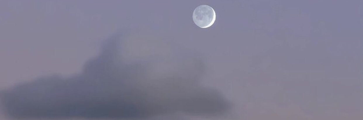 jojo95406's profile banner image