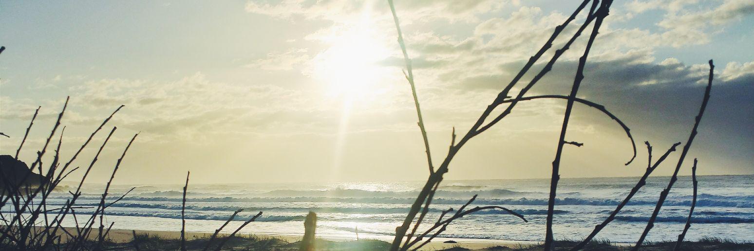 mactorx's profile banner image