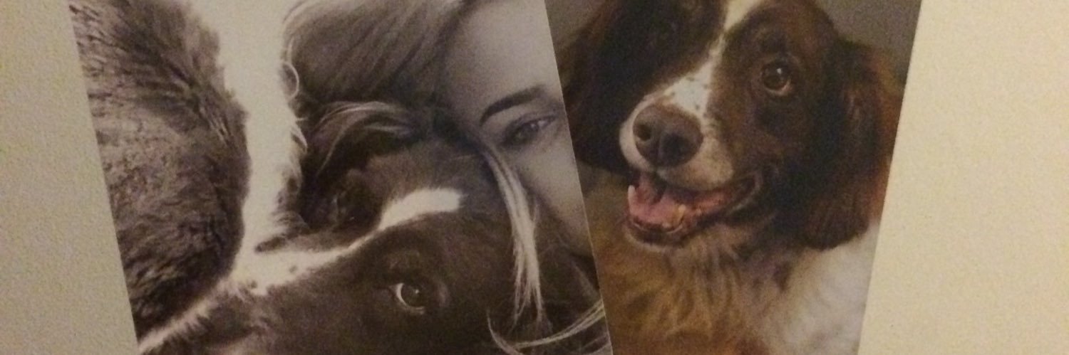 imeliataylor's profile banner image