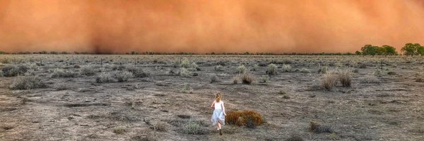 davidfickling Profile Banner