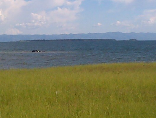 18Chipo's profile banner image