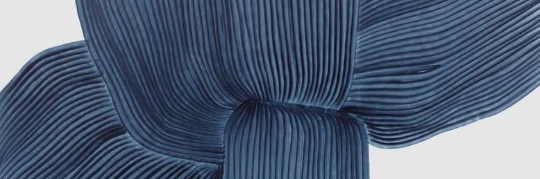 lilisinka's profile banner image